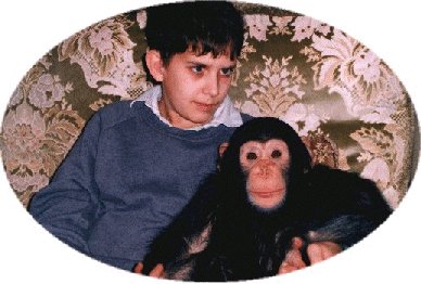 simondan.jpg