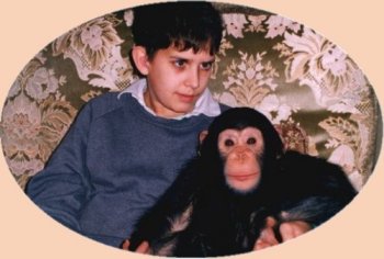 simondan2.jpg